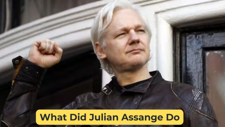 What Did Julian Assange Do
