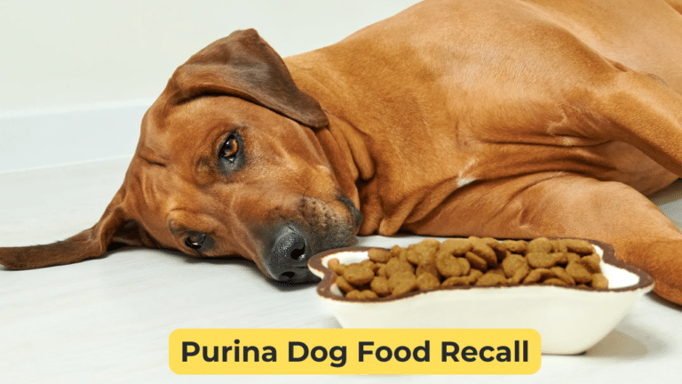 Purina Dog Food Recall