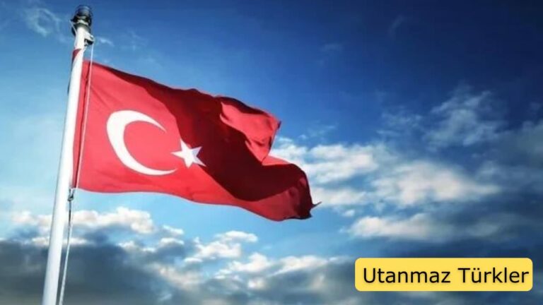 utanmaz türklere